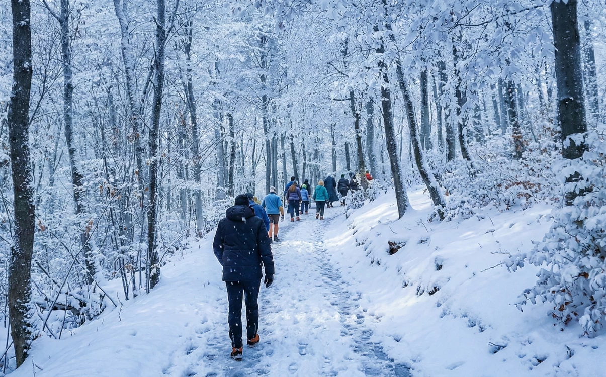 Doğa Yürüyüşleri